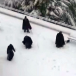 降り積もった雪ではしゃぐエルサレムの修道士たち