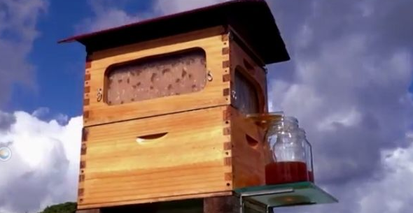 ミツバチの巣を壊さずに「はちみつ」を収穫できる巣箱の発明！！