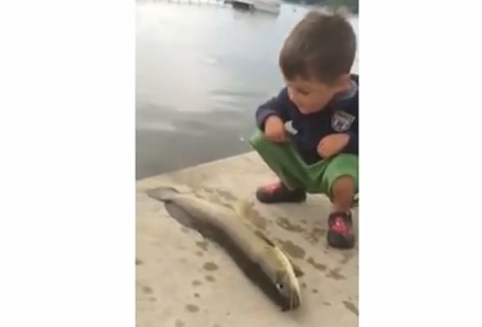 釣った魚にしっぺ返しをくらう少年