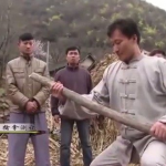 中国拳法の達人が「太い木の枝」を真っ二つに折る神業カンフー！！