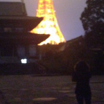 撮影下手過ぎて外から撮った東京タワーが完全に火事ｗｗ