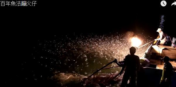 かがり火に集まった魚の群れを捕る台湾の伝統的な「かがり火漁」