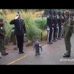 ノルウェーの近衛兵を表敬訪問する皇帝
