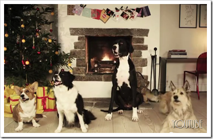 Dogs Barking Jingle Bells - Holiday Video 