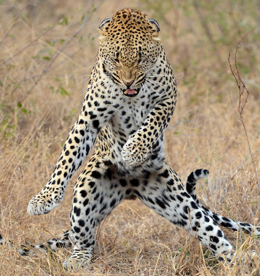 その話は・・・