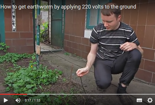 earthworm