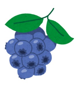 ブルーベリー