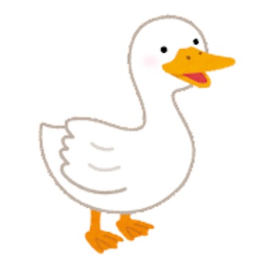 アヒル　あひる