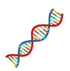 DNA