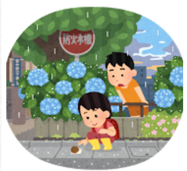 カタツムリ　アジサイ