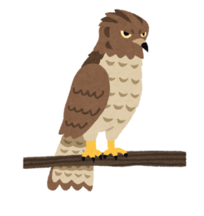 タカ　たか　ハヤブサ