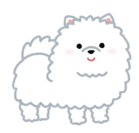 ポメラニアン　いぬ
