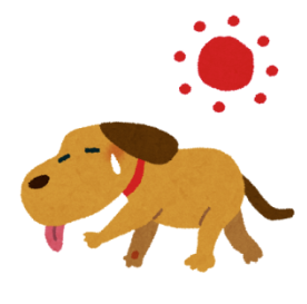 ワンコ　夏バテ